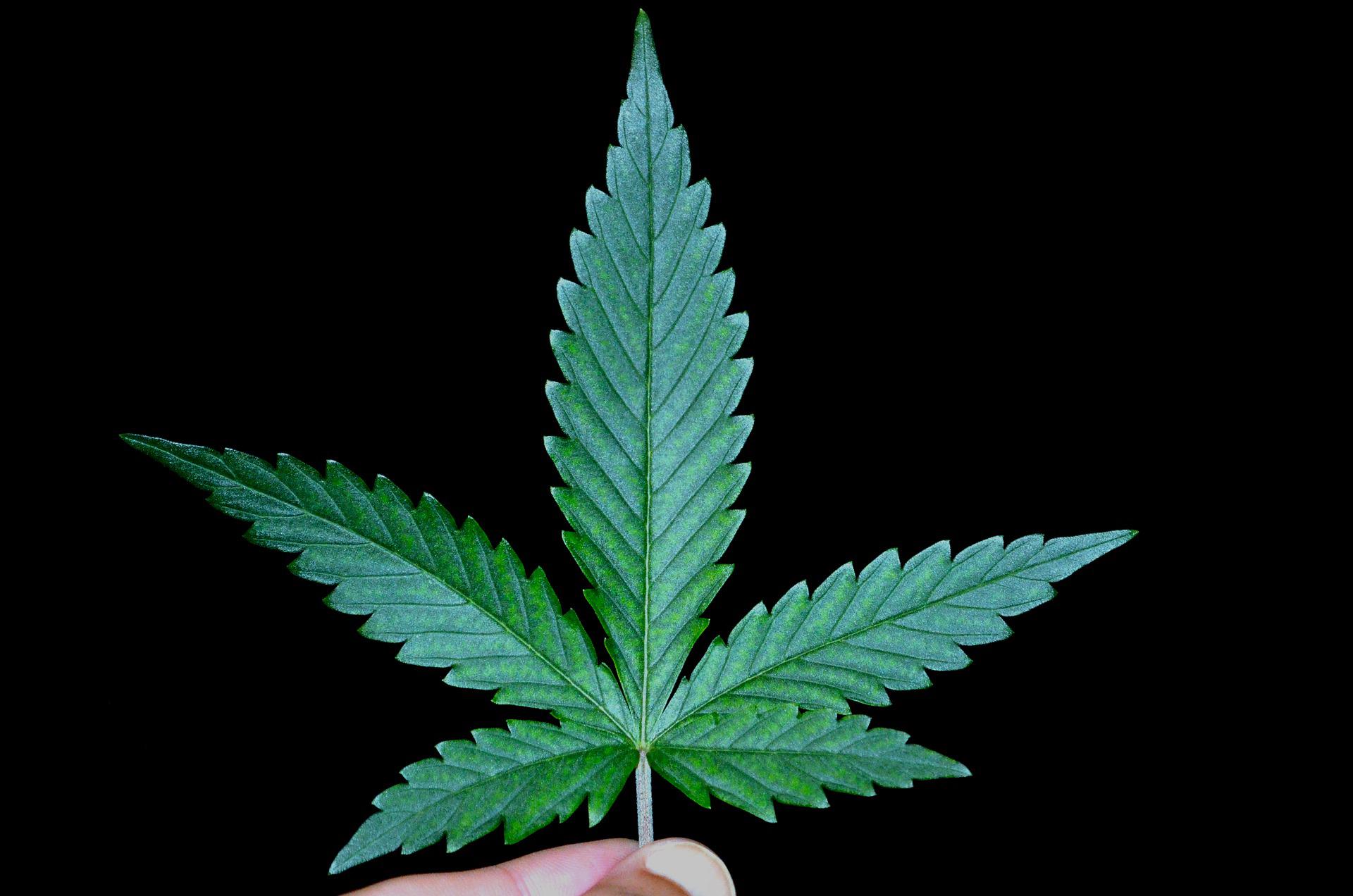 arreter-cannabis