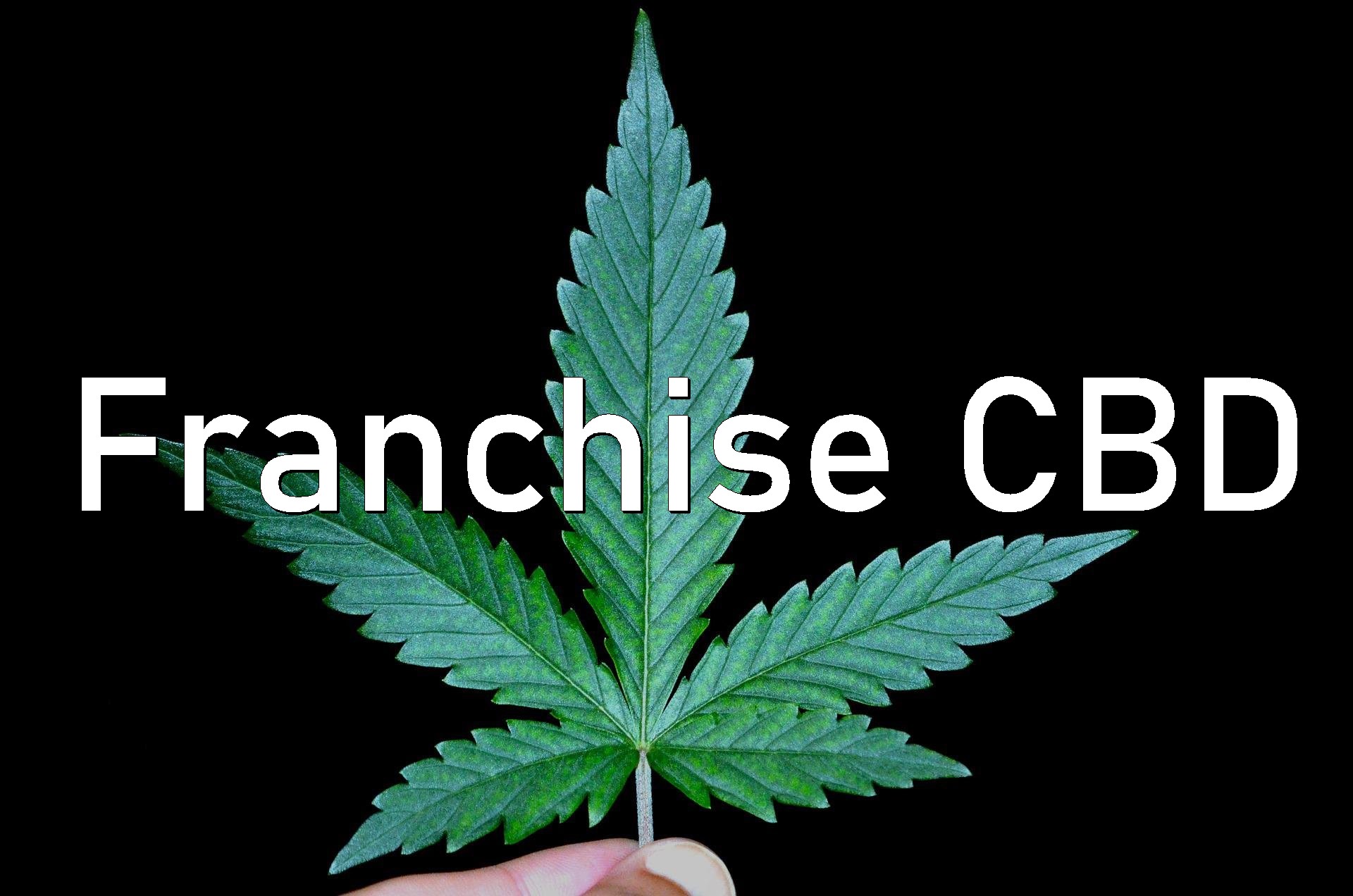 franchise-cbd
