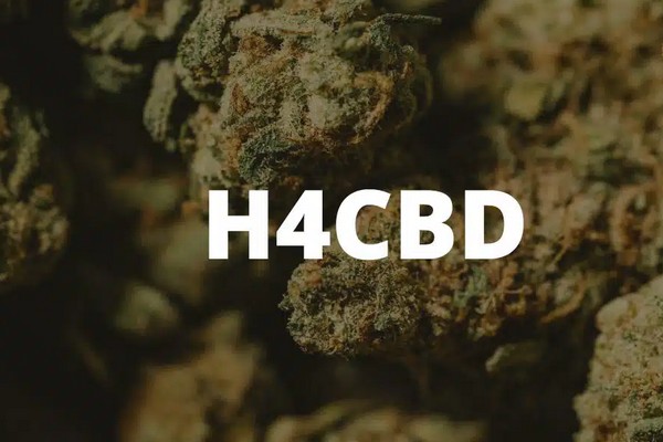 h4cbd vs hhc